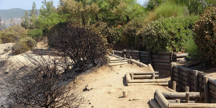 Tarihi Alan'ın Kuzey Hattı, tekrar ziyarete açıldı