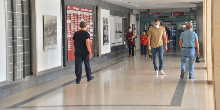 Maymun çiçeği eski bir hastalık salgın yapması beklenmiyor