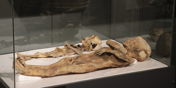 97 yıl önce bulunan 2 çocuk mumyası, ilk günkü gibi korunuyor
