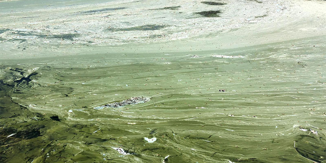 Türkiye'nin en büyük tatlı su göllerinden Eğirdir Gölü'nde ortaya çıkan aşırı kirlilik ve kuraklıkla birlikte alg patlamasının yanı sıra müsilaj da ortaya çıktı.