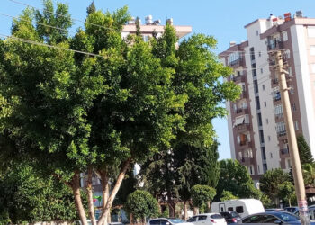Elektrik telleri bölge sakinlerini tedirgin ediyor