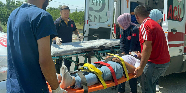 Yolcu otobüsü mısır tarlasına girdi; 2'si ağır 14 yaralı