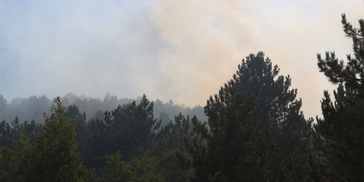 Piknik ve mesire alanlarında ateş yakmayın