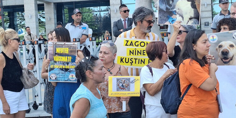 Ankara'da sokak hayvanları için tepki