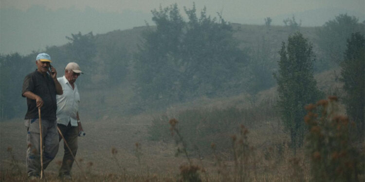Bolu'ya sıçrayan orman yangını yeniden başladı