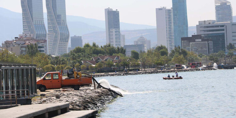 Kordon'da ölü balık kokusu