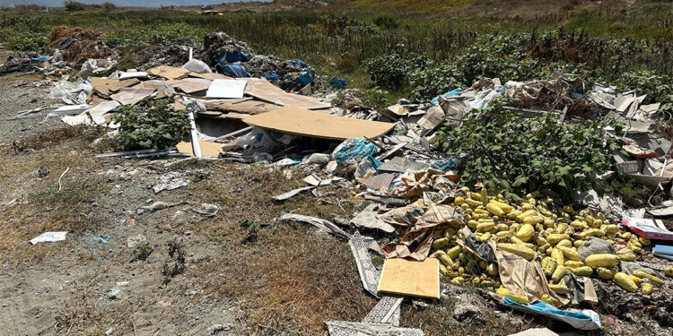 Milleyha Kuş Cenneti moloz ve çöp yığınlarıyla doldu