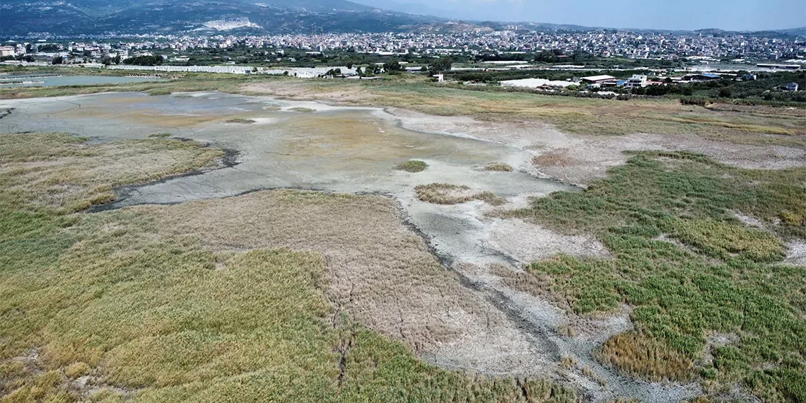 Afrika ve asya'dan göç eden yüz binlerce kuşun 'son sığınağı' olarak nitelendirilen hatay'daki milleyha kuş cenneti moloz ve çöp yığınlarıyla doldu.