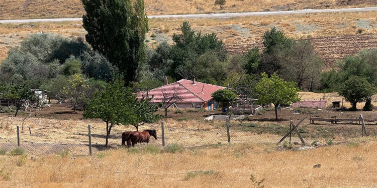 3 il büyüklüğündeki tarım arazisi, üretime kazandırılacak