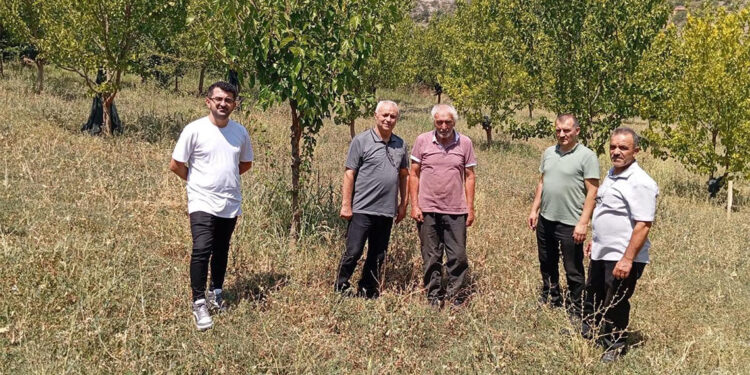 10 yılda 20 binden fazla fidanı toprakla buluşturdu