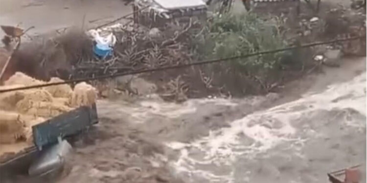 Kırşehir'de sağanak; sele kapılan çoban öldü