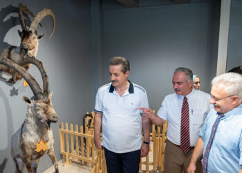 AÇÜ'ye yaban hayatı müzesi kuruldu