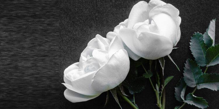 Solingen'deki bıçaklı saldırgan polise teslim oldu