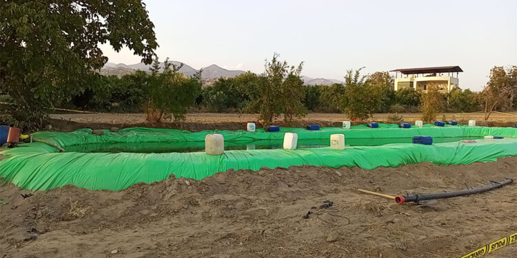 Zirai ilaç bulunan sulama havuzunda 2 kişi can verdi