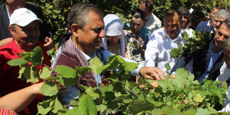 Açıklanan fındık fiyatı üreticiye ihanettir