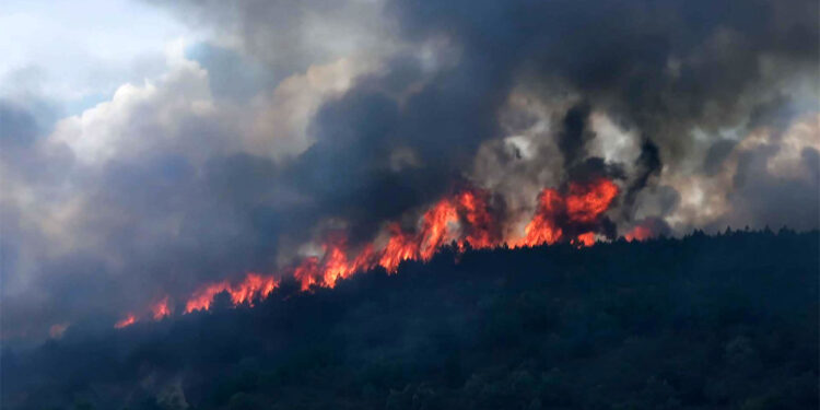 Afyonkarahisar'daki orman yangınında 2 gözaltı