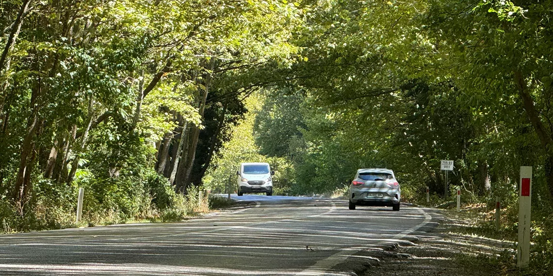 'ağaç tünel yol' hayran bırakıyor