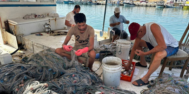 Akdenizli balıkçılar yeni av sezonu için gün sayıyor
