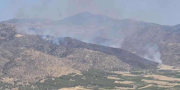 Alaşehir'de orman yangını çıktı