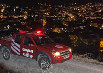 Ankara'da dağlık alandaki yangın 2 saatte söndürüldü