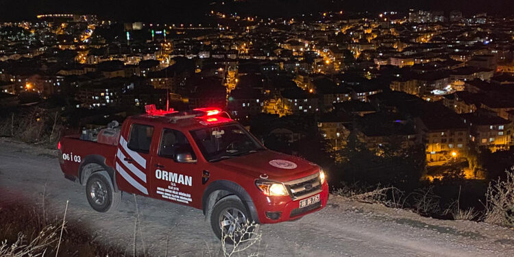 Ankara'da dağlık alandaki yangın 2 saatte söndürüldü