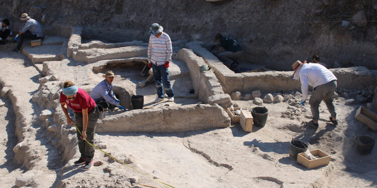 Arslantepe Höyüğü'nde tarihin en eski tabakaları kazılıyor