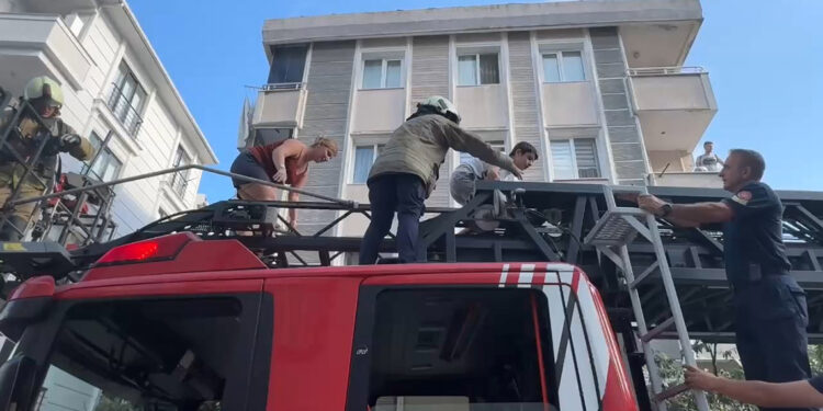 Avcılar'da yangında mahsur kalan aile ve kedisini itfaiye kurtardı