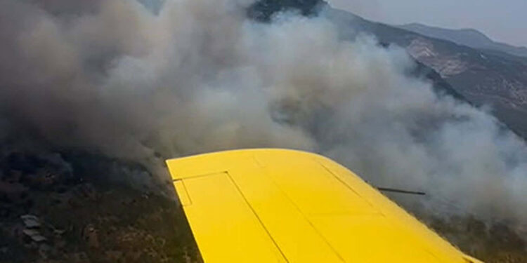 Aydın'da makilikte çıkan yangın, ormana sıçradı