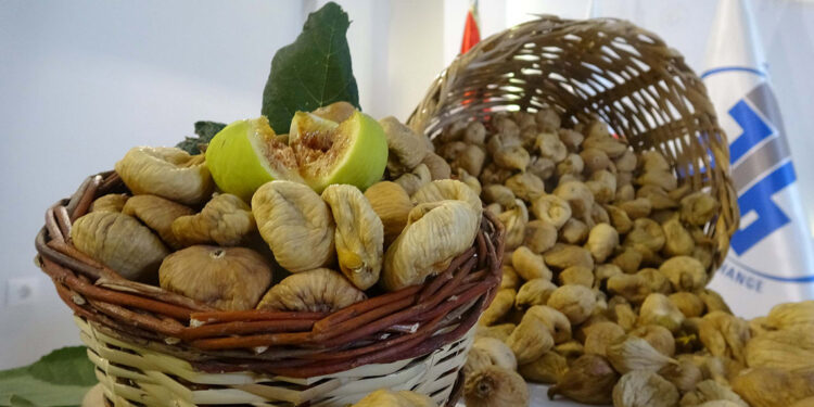 Aydın'da sezonun ilk kuru inciri kilosu 700 TL'den alındı