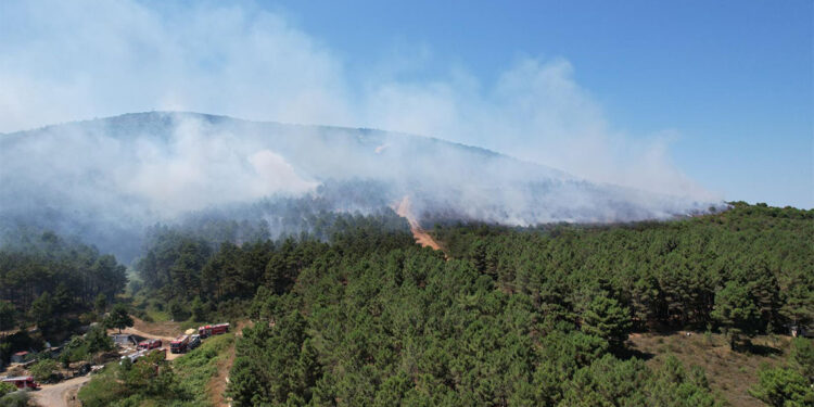 Manisa ve Uşak'taki yangınlar kontrol altına alındı