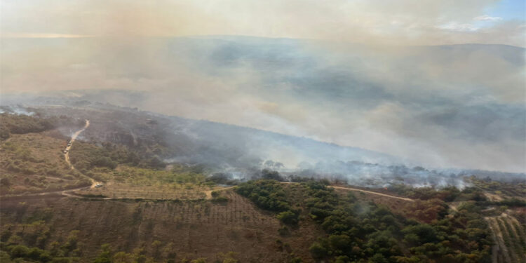 İznik'teki orman yangını 2'nci gününde