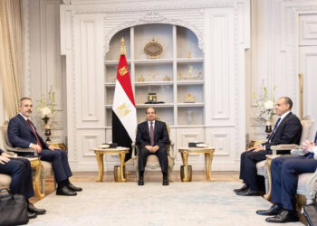 Bakan Fidan, Mısır Cumhurbaşkanı es-Sisi ile görüştü