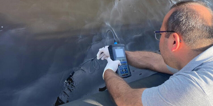 Bakanlıktan İzmir Körfezi'ndeki balık ölümlerine inceleme