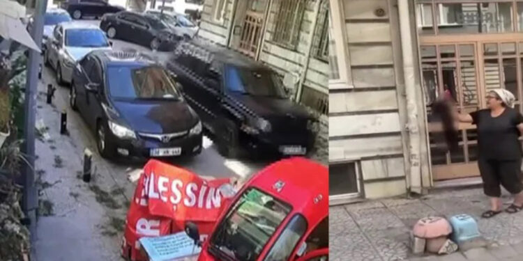 Bakırköy’de otomobille kediyi ezdi; umursamadan evine gitti