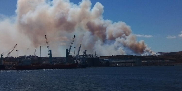 Balıkesir'de çamlıkta yangın