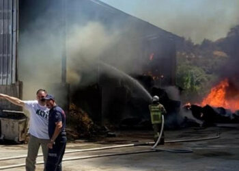 Balıkesir'de çiftlik yangını 1 saatte söndürüldü
