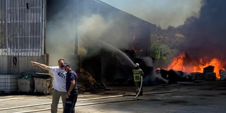 Balıkesir'de çiftlik yangını 1 saatte söndürüldü