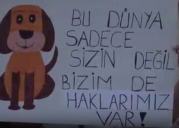Hayvanseverler yasanın geri çekilmesi için eylem yaptı