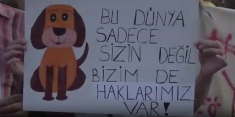 Hayvanseverler yasanın geri çekilmesi için eylem yaptı