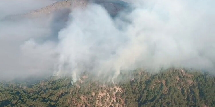 Bolu'da orman yangınında 3'üncü gün