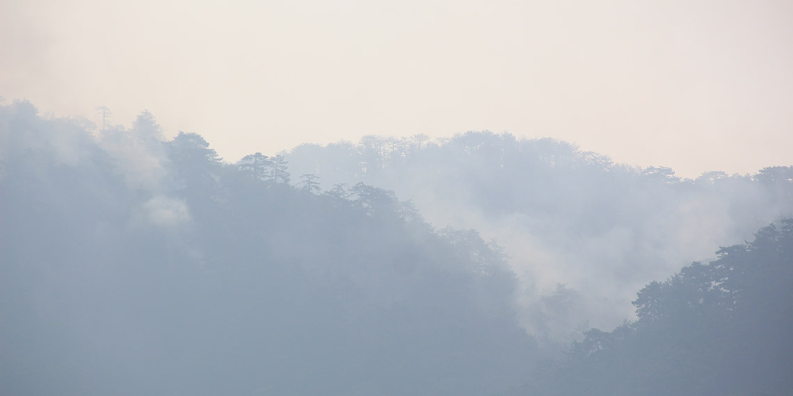Bolu'da orman yangınında 3'üncü gün
