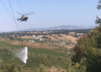 Bursa'da yeni orman yangını