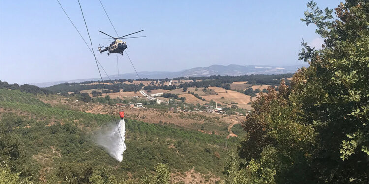 Bursa'da yeni orman yangını