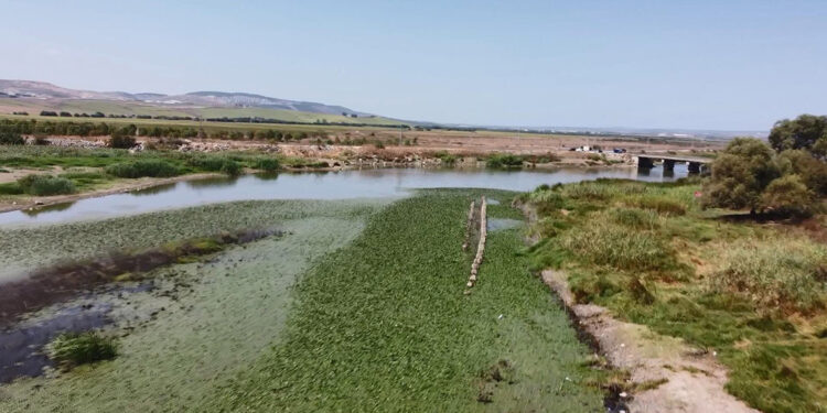 Büyükçekmece Baraj Gölü'nde su seviyesi düştü; tarihi Çakmak Hattı ortaya çıktı