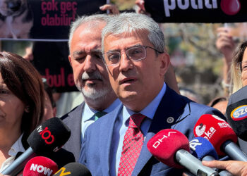 CHP'den, AYM'ye sokak hayvanları yasasının iptali başvurusu