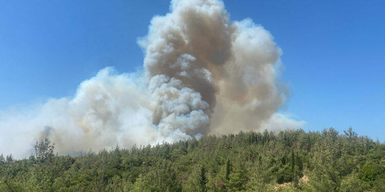 Çanakkale Eceabat'ta orman yangını