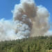 Çanakkale Eceabat'ta orman yangını