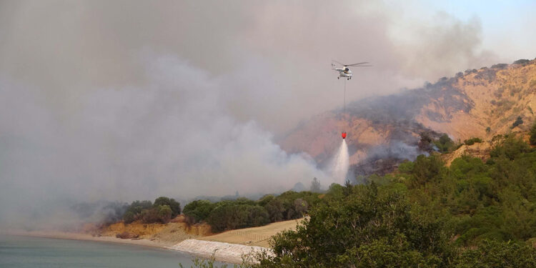 Çanakkale'deki orman yangını kontrol altında