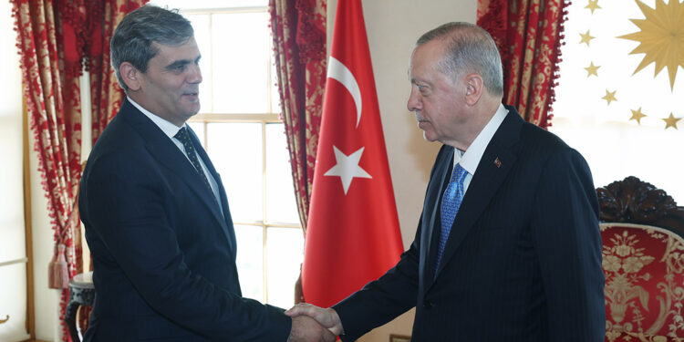 Cumhurbaşkanı Erdoğan Karadağ Dışişleri Bakanı İbrahimovic'i kabul etti