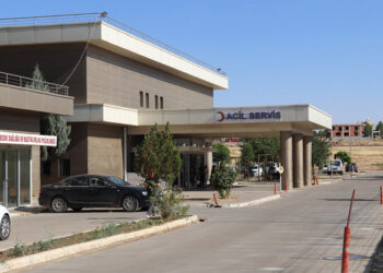 Dedesini ziyarete giden Asel Lina, süs havuzuna düşerek boğuldu